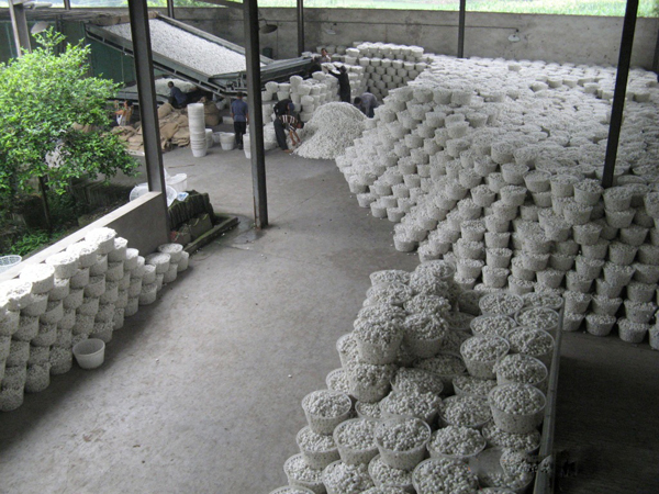 Suzhou No.1 Silk Factory Raw Material